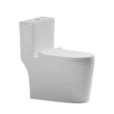 Bồn cầu 1 khối Hafele