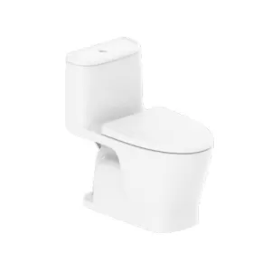 Bồn cầu 1 khối AMERICAN STANDARD VF-1863 (VF1863) nắp đóng êm