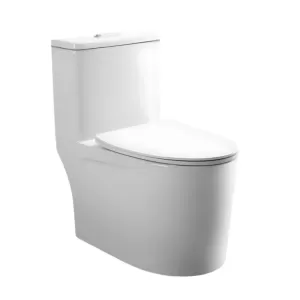 Bồn cầu 1 khối COTTO C1000024OS nắp đóng êm