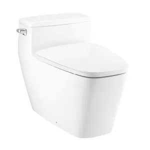 Bồn cầu 1 khối COTTO C101907 nắp đóng êm