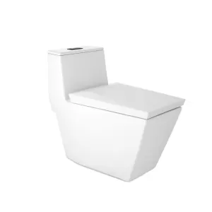 Bồn cầu 1 khối COTTO C102807 nắp đóng êm
