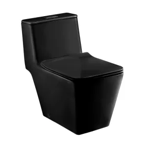 Bồn cầu 1 khối COTTO C1032MBK nắp đóng êm