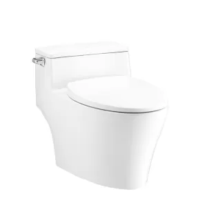 Bồn cầu 1 khối COTTO C10357 nắp đóng êm