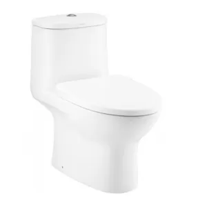 Bồn cầu 1 khối COTTO C1053 nắp đóng êm