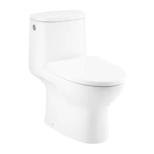 Bồn cầu 1 khối COTTO C105327 nắp đóng êm