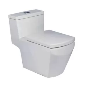Bồn cầu 1 khối COTTO C10717 nắp đóng êm
