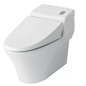Bồn cầu 1 khối INAX AC-1008VRN (AC1008VRN) nắp đóng êm CF-1008VS