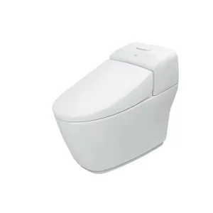 Bồn cầu 1 khối INAX AC-1032VN (AC1032VN) nắp đóng êm CF-1032VS