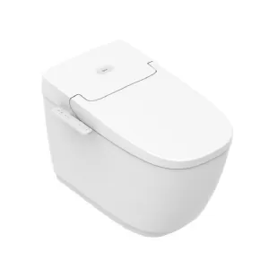Bồn cầu 1 khối INAX AC-816VN (AC816VN) nắp đóng êm