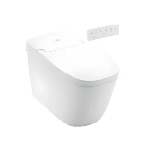 Bồn cầu 1 khối INAX AC-819VN (AC819VN) nắp đóng êm