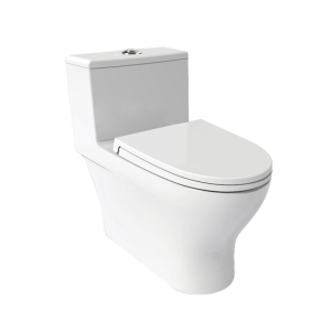 Bồn cầu 1 khối JOMOO 11160-2-5 nắp đóng êm