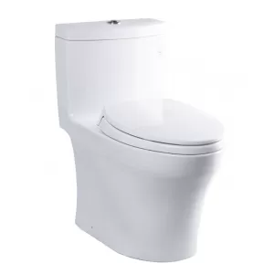 Bồn cầu 1 khối TOTO MS889DRT2 nắp đóng êm TC393VS