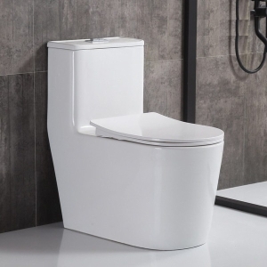 Bồn cầu 1 khối TTCERA BC067 nắp đóng êm chính hãng