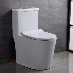 Bồn cầu 1 khối TTCERA BC079 nắp đóng êm chính hãng
