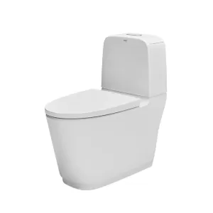 Bồn cầu 2 khối INAX AC-832VN (AC832VN) nắp đóng êm