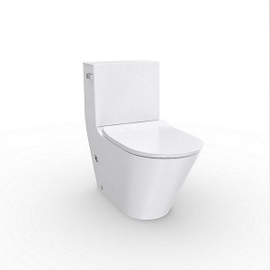 Bồn cầu 2 khối Kohler K-EX22381T-SL-0 nắp đóng êm chính hãng