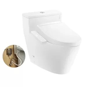 Bồn cầu 1 khối TOTO MS625DW24