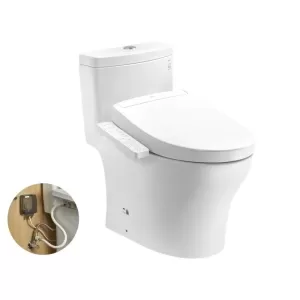 Bồn cầu 1 khối TOTO MS889DRW24