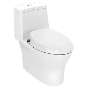 Bồn cầu AMERICAN STANDARD VF-2530S 1 khối nắp rửa cơ (không dùng điện)