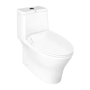 Bồn cầu AMERICAN STANDARD VF-2530SW 1 khối nắp rửa cơ (không dùng điện)