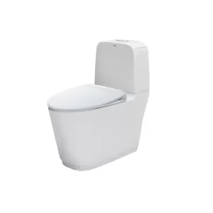 Bồn cầu 2 khối nắp rửa cơ INAX AC-832 + CW-S15VN