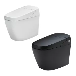 Bồn cầu thông minh INAX Satis G AC-G216VN tự động đóng mở & xả nước