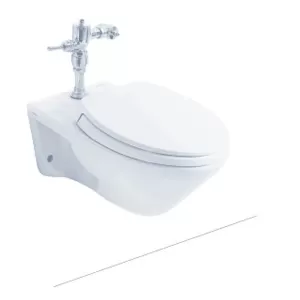 Bồn cầu treo tường TOTO CW550/TC393VS nắp đóng êm