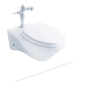 Bồn cầu treo tường TOTO CW550 thoát ngang két nước âm tường nắp TC393VS