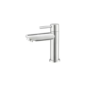 Vòi lavabo nước lạnh COTTO CT1266C54#SA(HM) dòng Geo