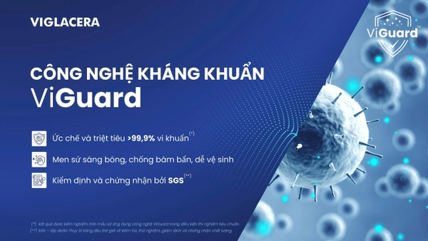 Chậu dương bàn Viglacera CM01 tích hợp công nghệ men kháng khuẩn ViGuard vượt trội, bảo vệ tối đa sức khỏe người dùng