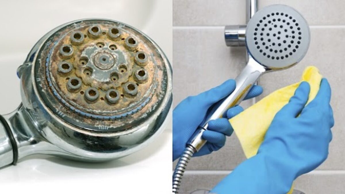 Định kỳ bảo dưỡng và làm sạch sen tắm tại nhà giúp loại bỏ cặn canxi tắc nghẽn ở các tia nước, duy trì áp lực dòng chảy và kéo dài độ sáng bóng cho thiết bị.