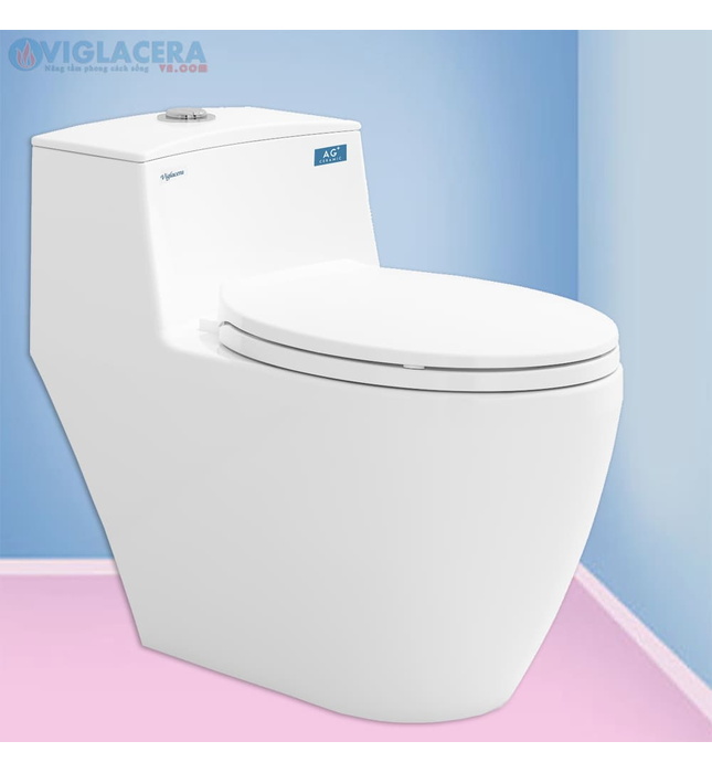 Viglacera tự hào là thương hiệu Việt đồng hành cùng hàng triệu gia đình kiến tạo không gian sống tiện nghi