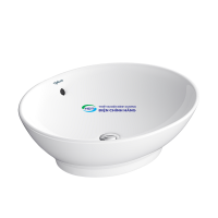Chậu dương bàn Viglacera BS415