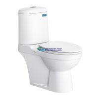 Bàn cầu hai khối Viglacera VI107