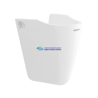 Chân chậu Viglacera BS503