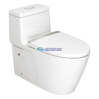 Bồn cầu 1 khối AMERICAN STANDARD 2007-WT (2007WT) nắp đóng êm dòng Acacia Evolution