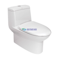 Bồn cầu 1 khối AMERICAN STANDARD WP-1830 (WP1830) nắp đóng êm