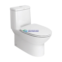 Bồn cầu 1 khối AMERICAN STANDARD WP-2073 (WP2073) nắp đóng êm