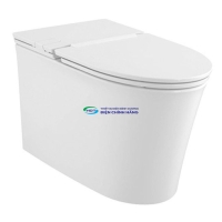 Bồn cầu 1 khối AMERICAN STANDARD WP-3232 (WP3232) nắp đóng êm