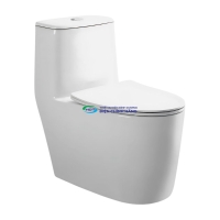 Bồn cầu 1 khối COTTO C1000023OS nắp đóng êm