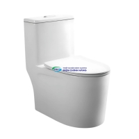 Bồn cầu 1 khối COTTO C1000024OS nắp đóng êm