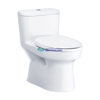 Bồn cầu 1 khối COTTO C1015 nắp đóng êm