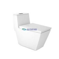 Bồn cầu 1 khối COTTO C102807 nắp đóng êm