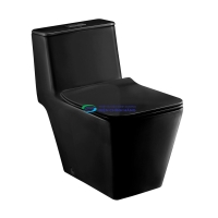 Bồn cầu 1 khối COTTO C1032MBK nắp đóng êm
