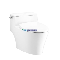 Bồn cầu 1 khối COTTO C10357 nắp đóng êm