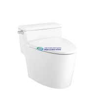 Bồn cầu 1 khối COTTO C105257 nắp đóng êm