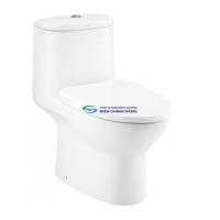 Bồn cầu 1 khối COTTO C1053 nắp đóng êm