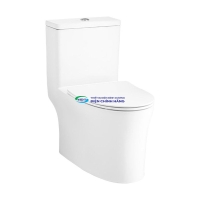 Bồn cầu 1 khối COTTO C105607 nắp đóng êm