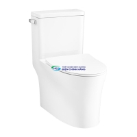 Bồn cầu 1 khối COTTO C105617 nắp đóng êm