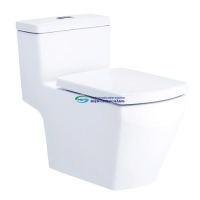 Bồn cầu 1 khối COTTO C107127 nắp đóng êm dòng Tetra